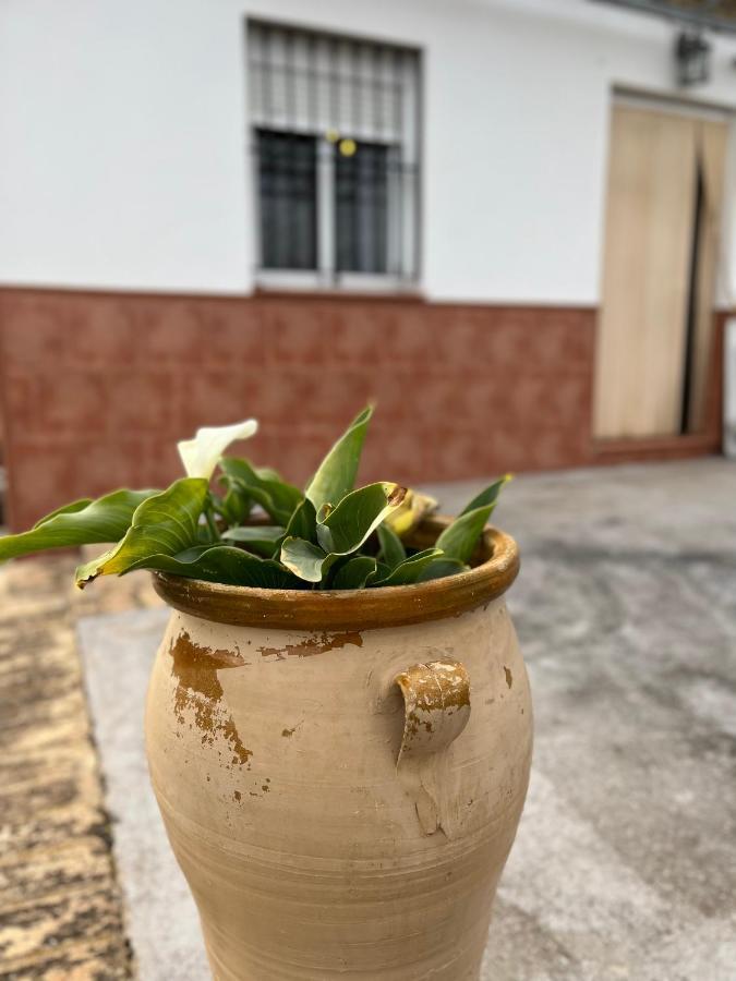 Agua De Verano San Bartolomé de la Torre 외부 사진